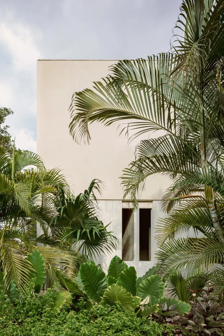 BIM建筑|Risch住宅，墨西哥 / Kiltro Polaris Arquitectura