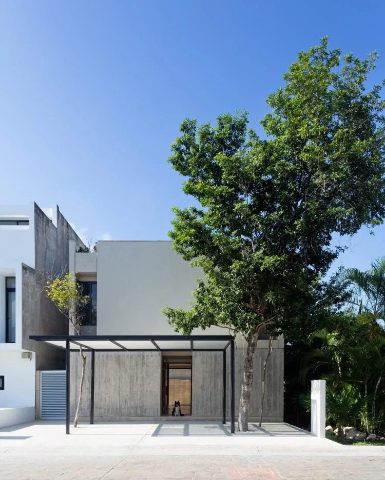 BIM建筑|Risch住宅，墨西哥 / Kiltro Polaris Arquitectura