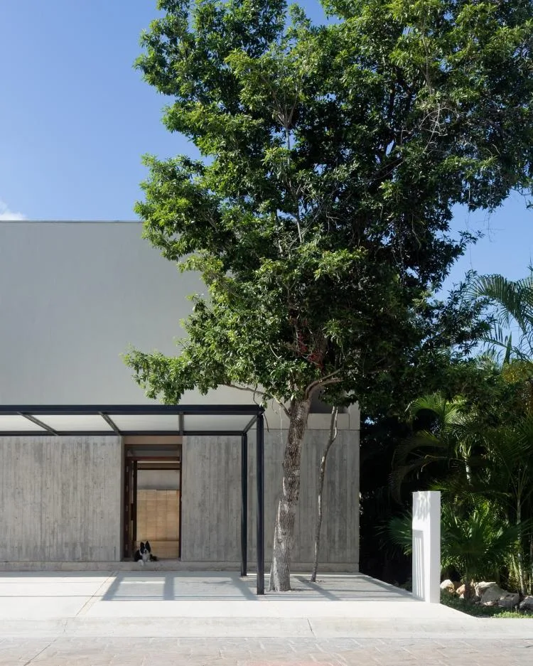 BIM建筑|Risch住宅，墨西哥 / Kiltro Polaris Arquitectura