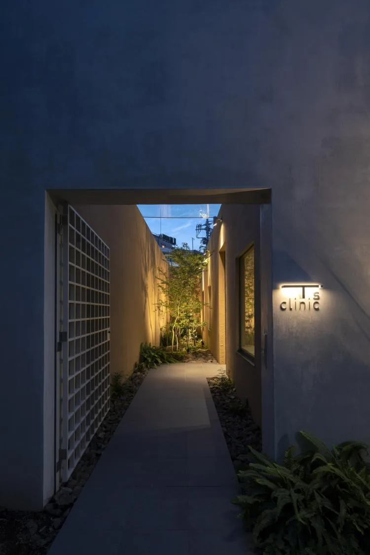 BIM建筑|东京天空洞穴住宅：静谧的自然居所 / IKAWAYA Architects