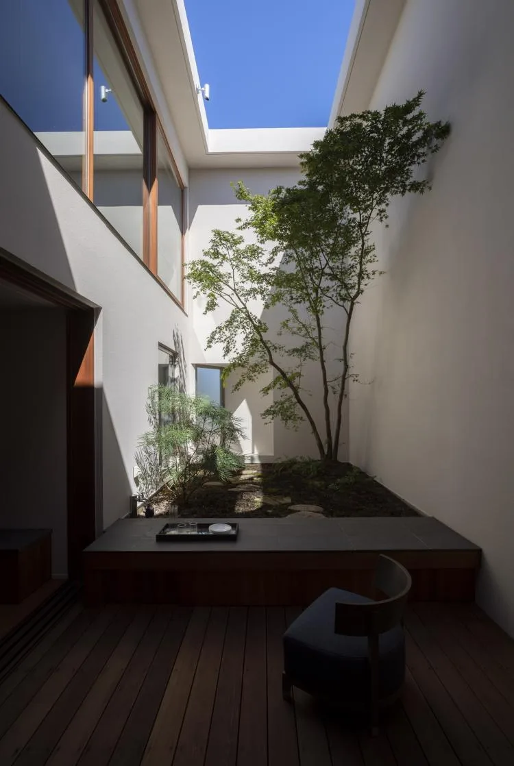 BIM建筑|东京天空洞穴住宅：静谧的自然居所 / IKAWAYA Architects