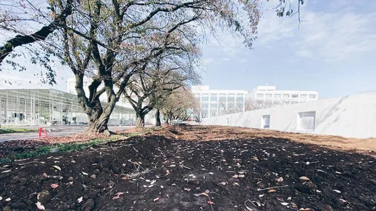 BIM建筑|石上纯也新作“神奈川工科大学KAIT工坊广场”：度过闲暇时光的场所