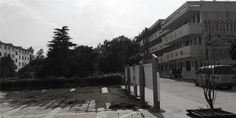 BIM建筑|乡村振兴之乡镇中学改造-全椒县新锐古河中学 / 上海思序建筑规划设计