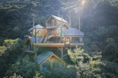 BIM建筑|杭州开元森泊度假酒店“树屋”：簇拥推搡的“小矮人” / 王晖建筑工作室-BIM建筑网