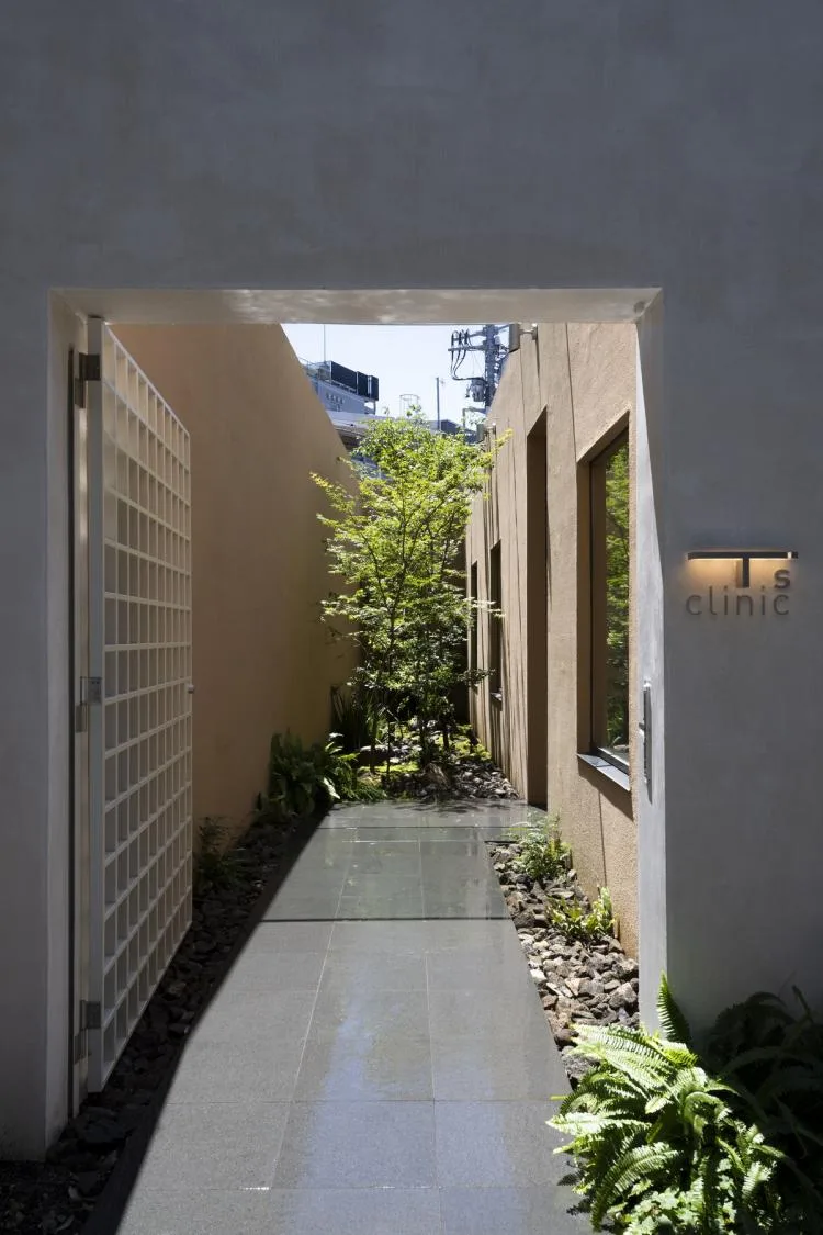 BIM建筑|东京天空洞穴住宅：静谧的自然居所 / IKAWAYA Architects