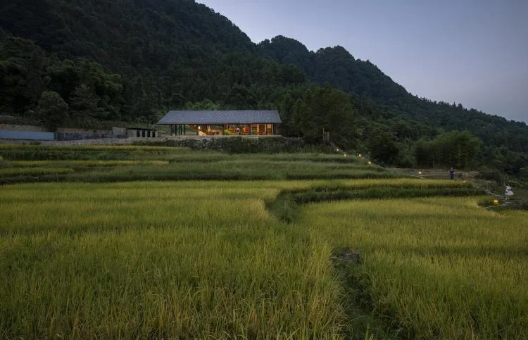 BIM建筑|可居可游，在半山稻田之间：重庆垫江巴谷宿集建筑设计 / 三文建筑