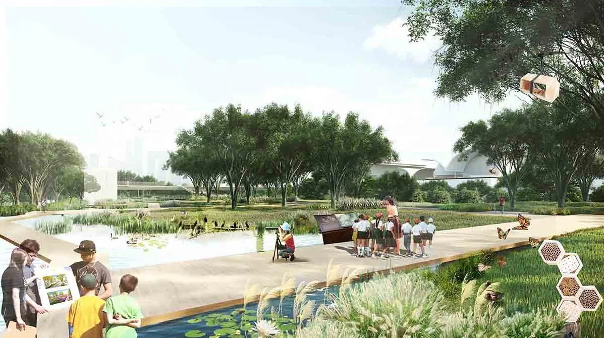 BIM建筑|中标方案 - 深圳红树林湿地博物馆项目国际竞赛 / 迹·建筑事务所（TAO）+AECOM