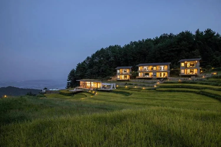 BIM建筑|可居可游，在半山稻田之间：重庆垫江巴谷宿集建筑设计 / 三文建筑