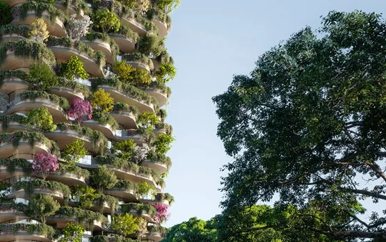 BIM建筑|高田浩一在布里斯班推出覆盖植物的高层住宅