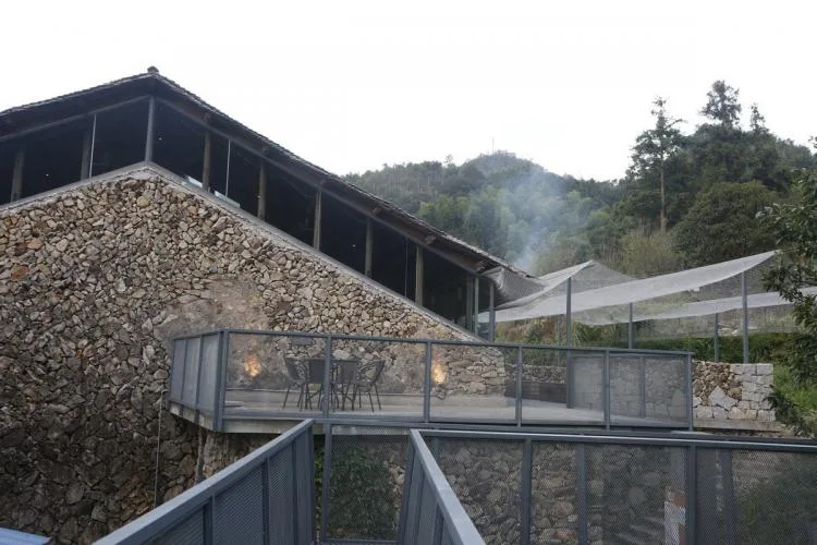 BIM建筑|小岙中通文化驿站：古朴村落中悠然而居 / 众生设计
