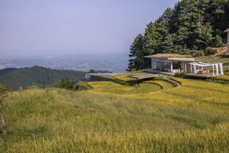 BIM建筑|可居可游，在半山稻田之间：重庆垫江巴谷宿集建筑设计 / 三文建筑