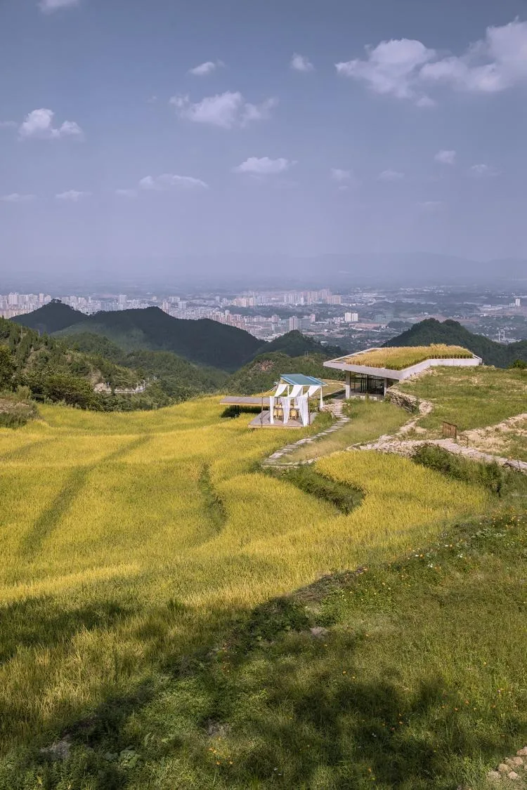 BIM建筑|可居可游，在半山稻田之间：重庆垫江巴谷宿集建筑设计 / 三文建筑