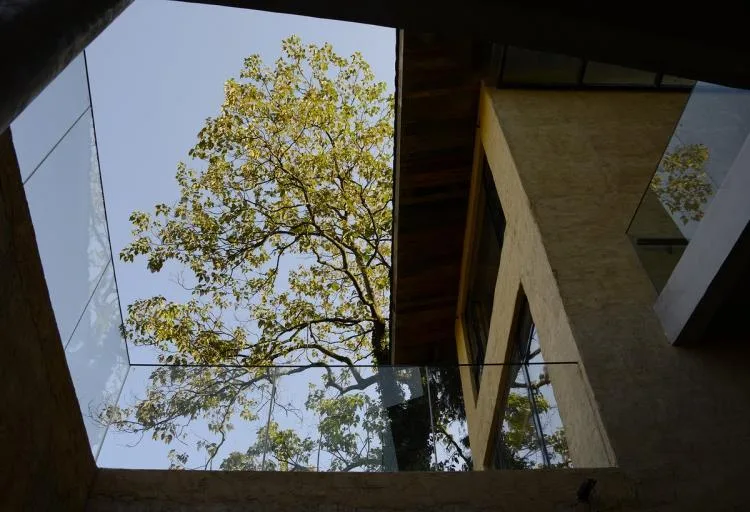 BIM建筑|可居可游，在半山稻田之间：重庆垫江巴谷宿集建筑设计 / 三文建筑