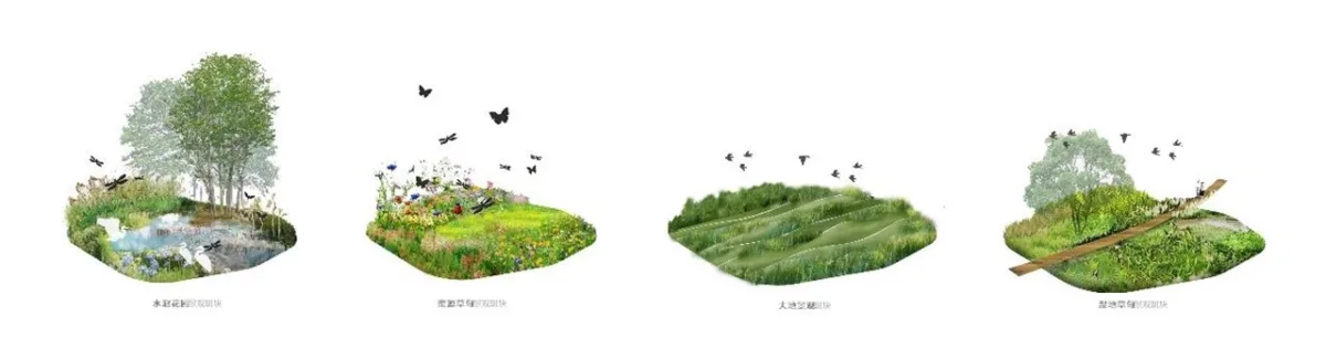 BIM建筑|中标方案 - 深圳红树林湿地博物馆项目国际竞赛 / 迹·建筑事务所（TAO）+AECOM