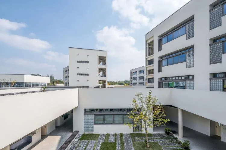 BIM建筑|同济大学附属实验小学 / 刘宇扬建筑事务所
