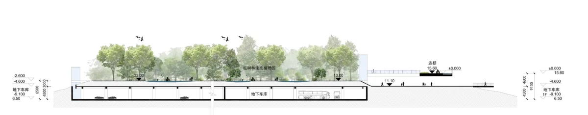 BIM建筑|中标方案 - 深圳红树林湿地博物馆项目国际竞赛 / 迹·建筑事务所（TAO）+AECOM