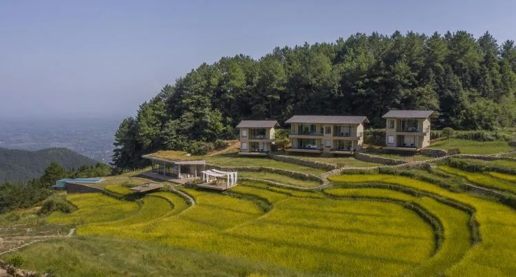 BIM建筑|可居可游，在半山稻田之间：重庆垫江巴谷宿集建筑设计 / 三文建筑