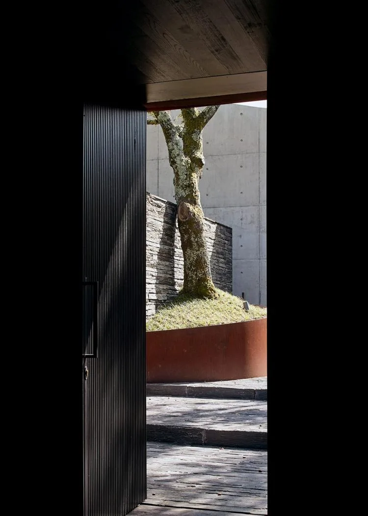 BIM建筑|落于林间的混凝土小教堂，静谧优雅而富有自然气息，葡萄牙 / Nicholas Burns