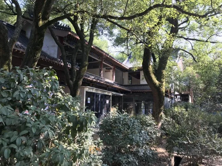 BIM建筑|南昌市八一公园梁书美术馆改造/XAA建筑事务所
