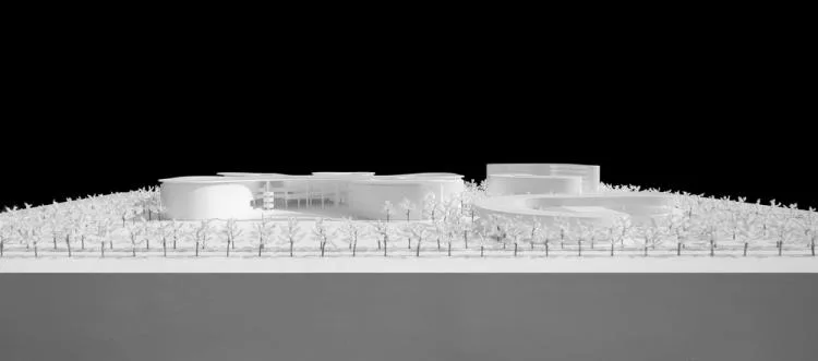 BIM建筑|海口江东寰岛实验学校/迹·建筑事务所（TAO）