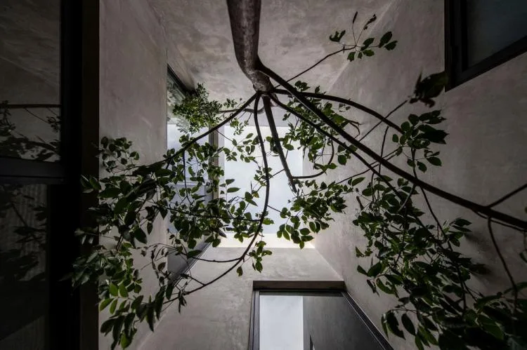 BIM建筑|天堂小屋 Empírea House/TACO taller de arquitectura contextual