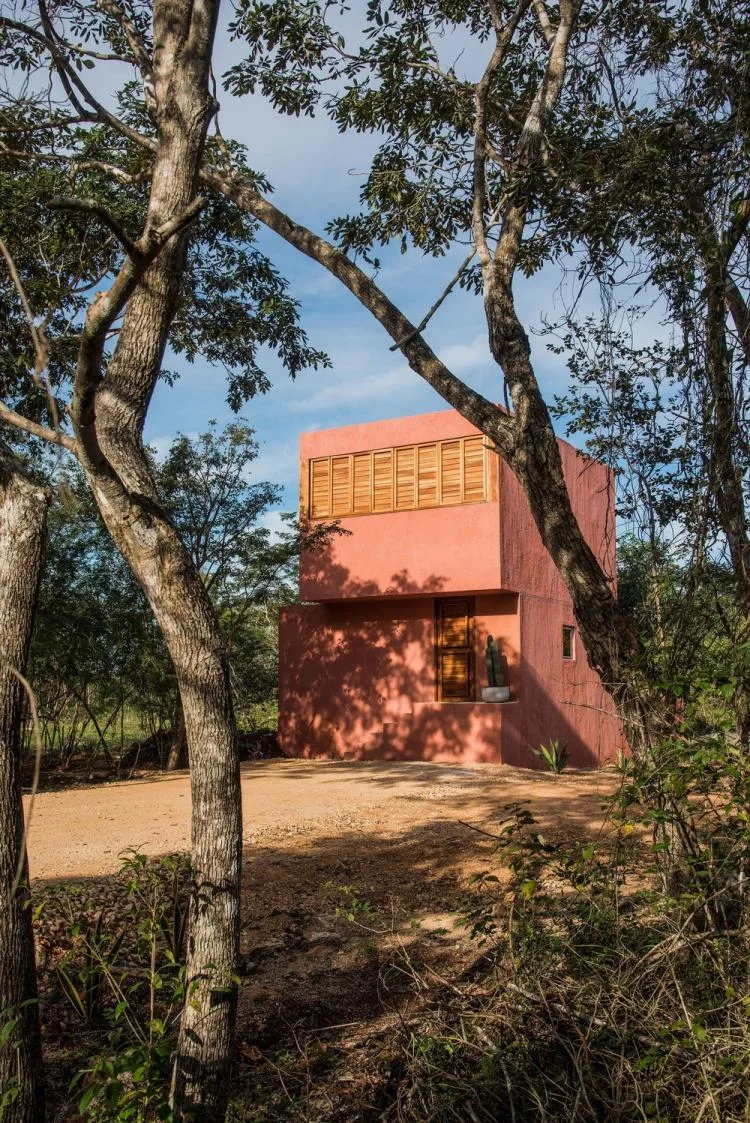 BIM建筑|墨西哥纸牌屋/TACO taller de arquitectura contextual