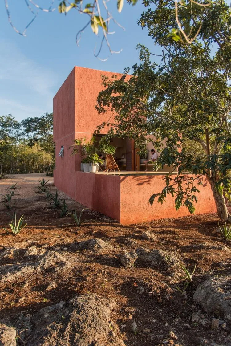 BIM建筑|墨西哥纸牌屋/TACO taller de arquitectura contextual