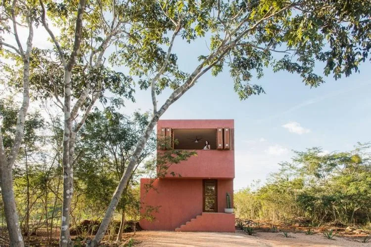 BIM建筑|墨西哥纸牌屋/TACO taller de arquitectura contextual