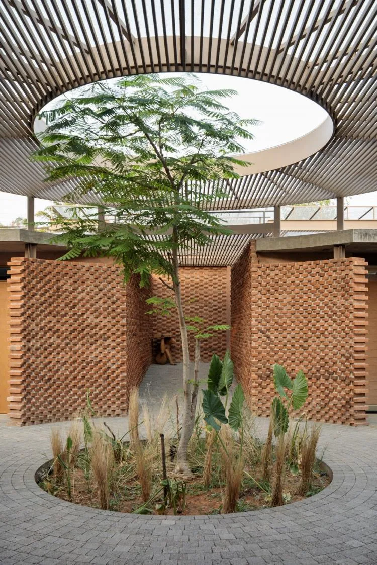 BIM建筑|阳光、风、植物和房子 UC House/ 墨西哥Taller de Arquitectura y Diseño