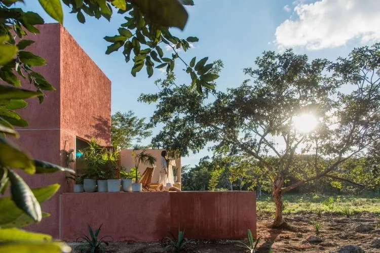 BIM建筑|墨西哥纸牌屋/TACO taller de arquitectura contextual