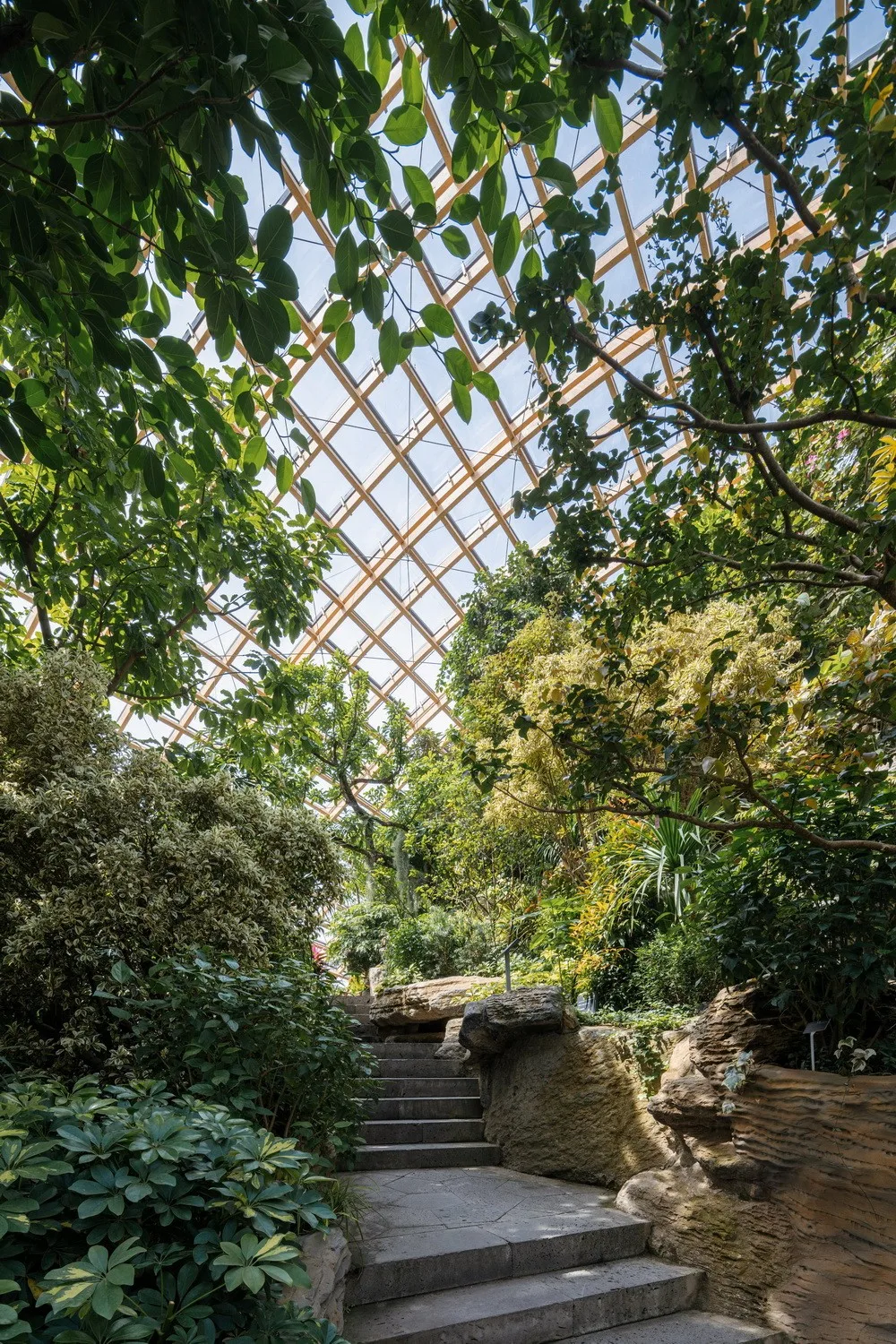 BIM建筑|山西太原穹顶植物园/DMAA