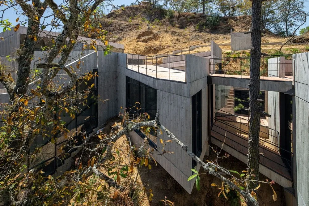 BIM建筑|体块的协奏曲：墨西哥蚕园/LAMZ Arquitectura