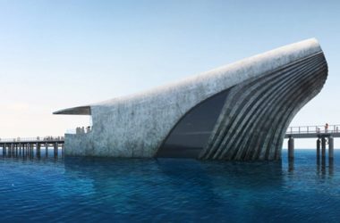 BIM建筑|巴卡建筑工作室设计“鲸鱼”形海洋观测站-BIM建筑网