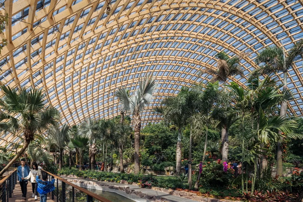 BIM建筑|山西太原穹顶植物园/DMAA