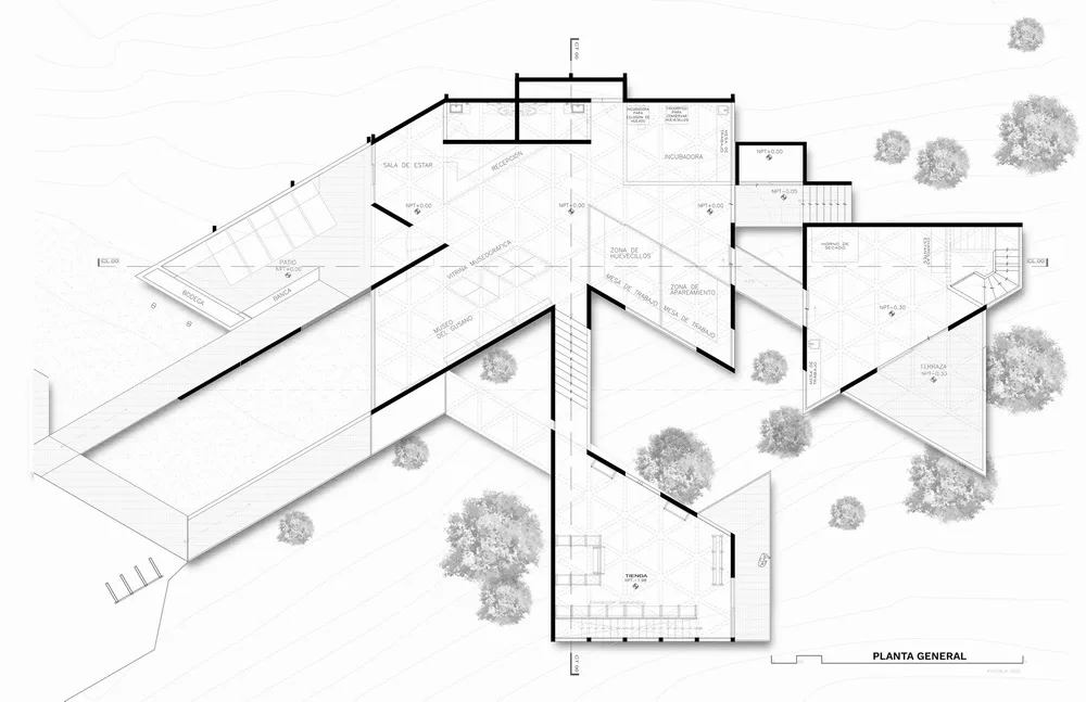 BIM建筑|体块的协奏曲：墨西哥蚕园/LAMZ Arquitectura