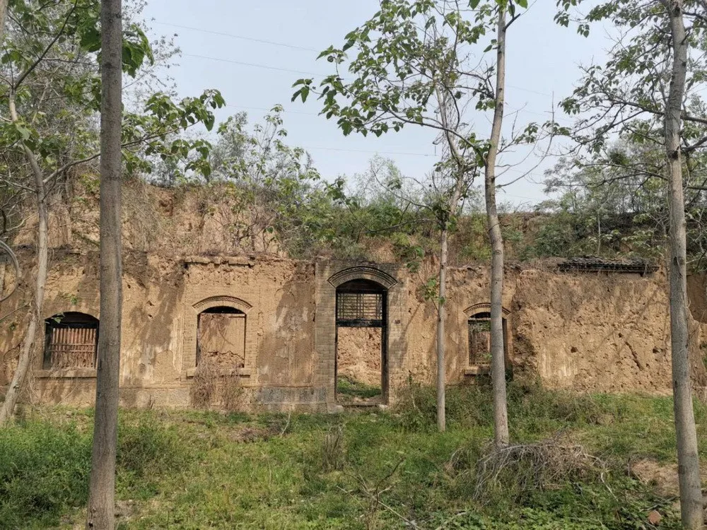 BIM建筑|微建筑系列 II – 废墟书屋/一树建筑