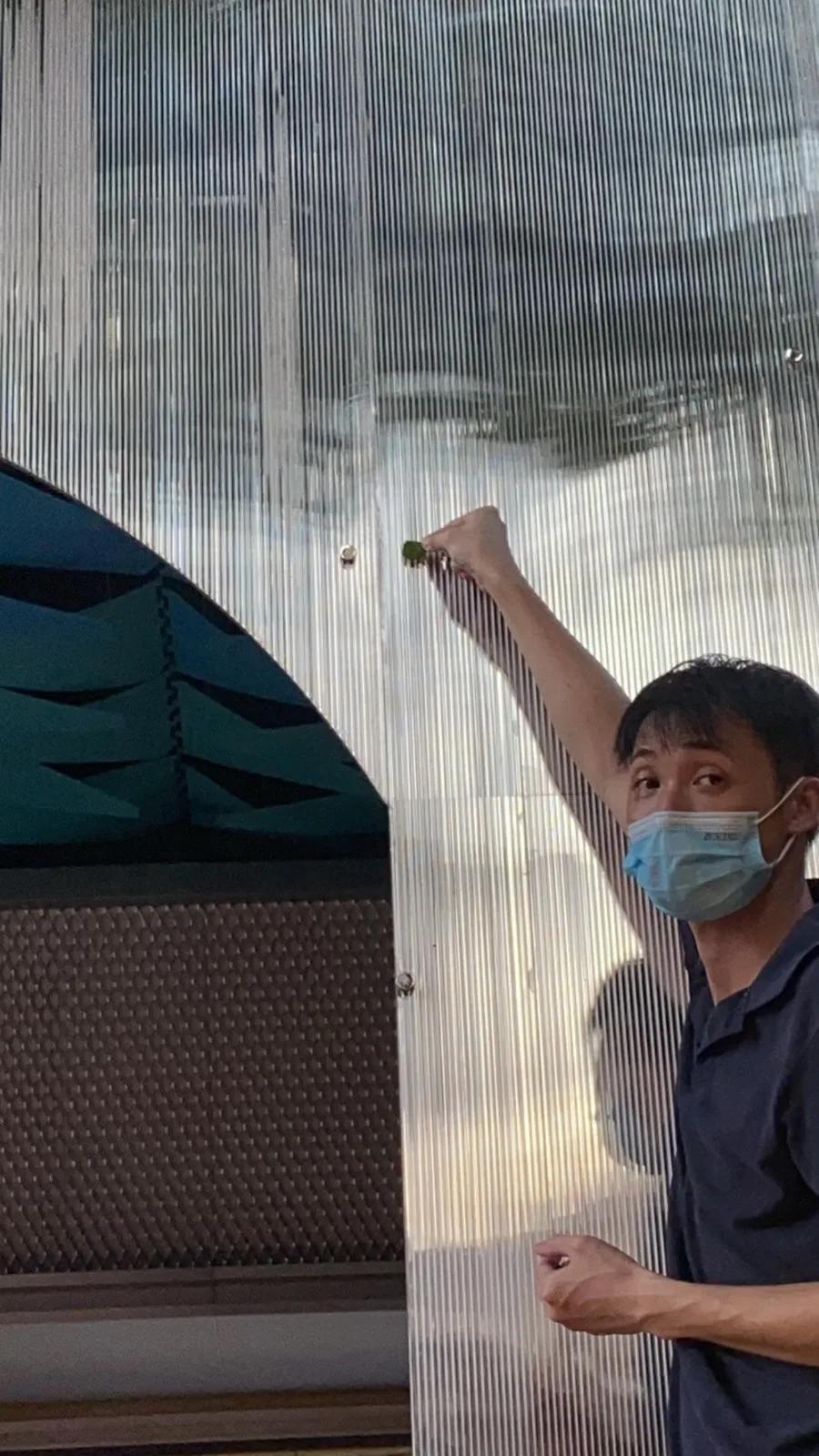 BIM建筑|彩色，诗意的日常：广州东山肉菜市场改造/奥默默工作室