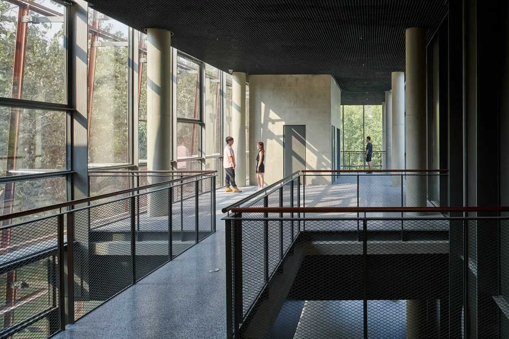 BIM建筑|南开大学海冰楼/直向建筑