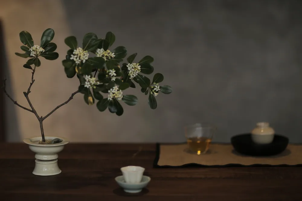 BIM建筑|在成都城中安放一片山林，是以不知春斋茶宿/ 时地建筑