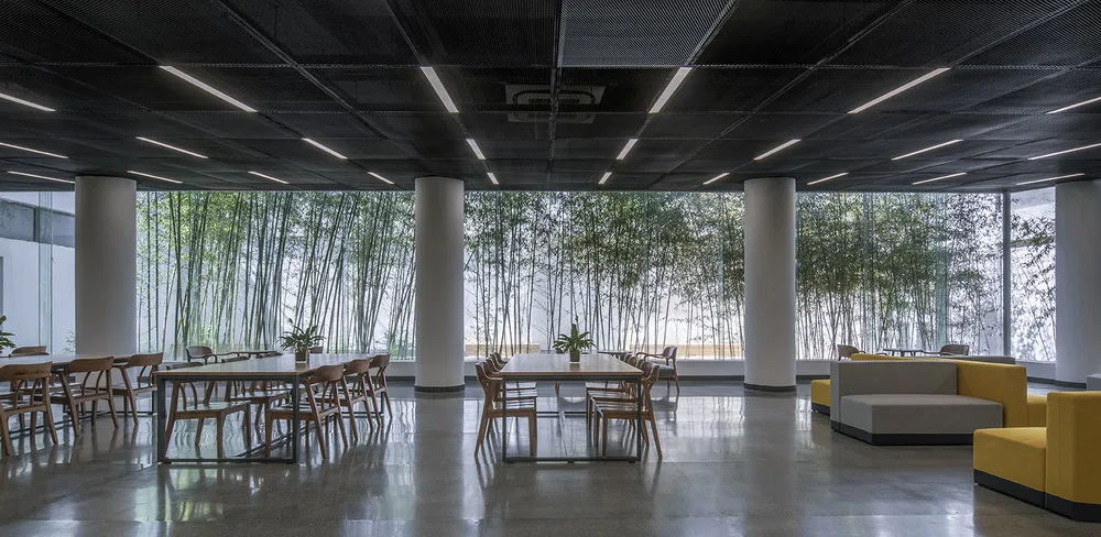 BIM建筑|中央美术学院燕郊校区图书馆改造 / 三文建筑 / 何崴工作室
