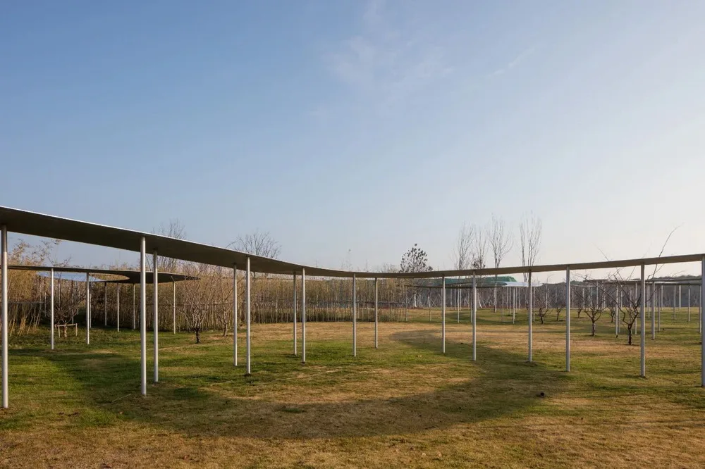 BIM建筑|济宁美术馆 / 西泽立卫建筑事务所