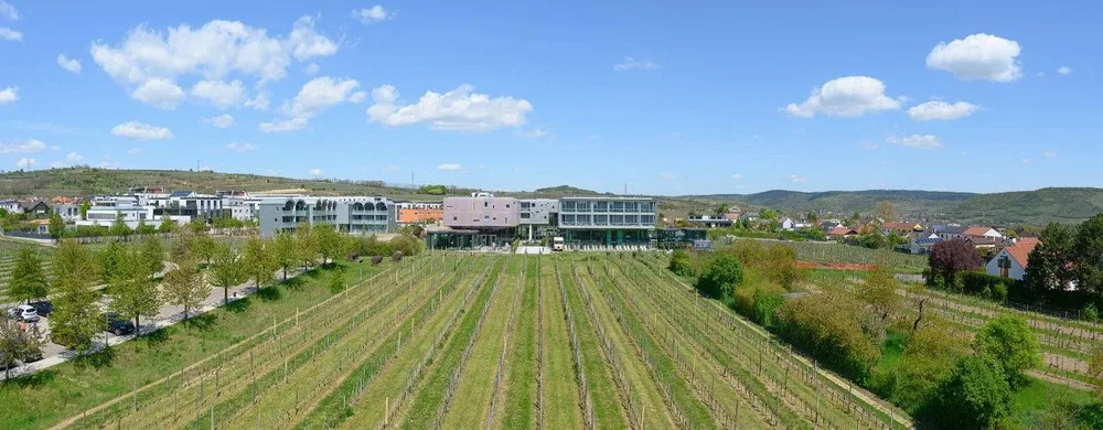 BIM建筑|奥地利罗仙姆酒店扩建/斯蒂文·霍尔事务所