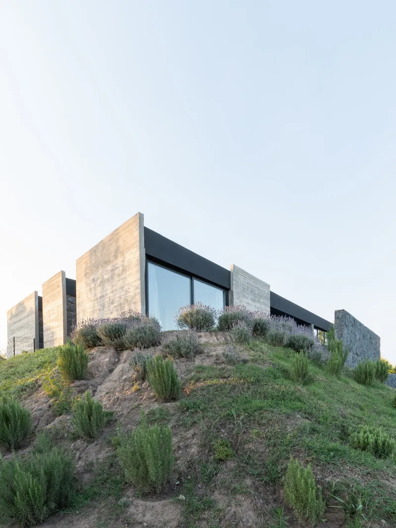 BIM建筑|Mono 住宅 / Patio Estudio
