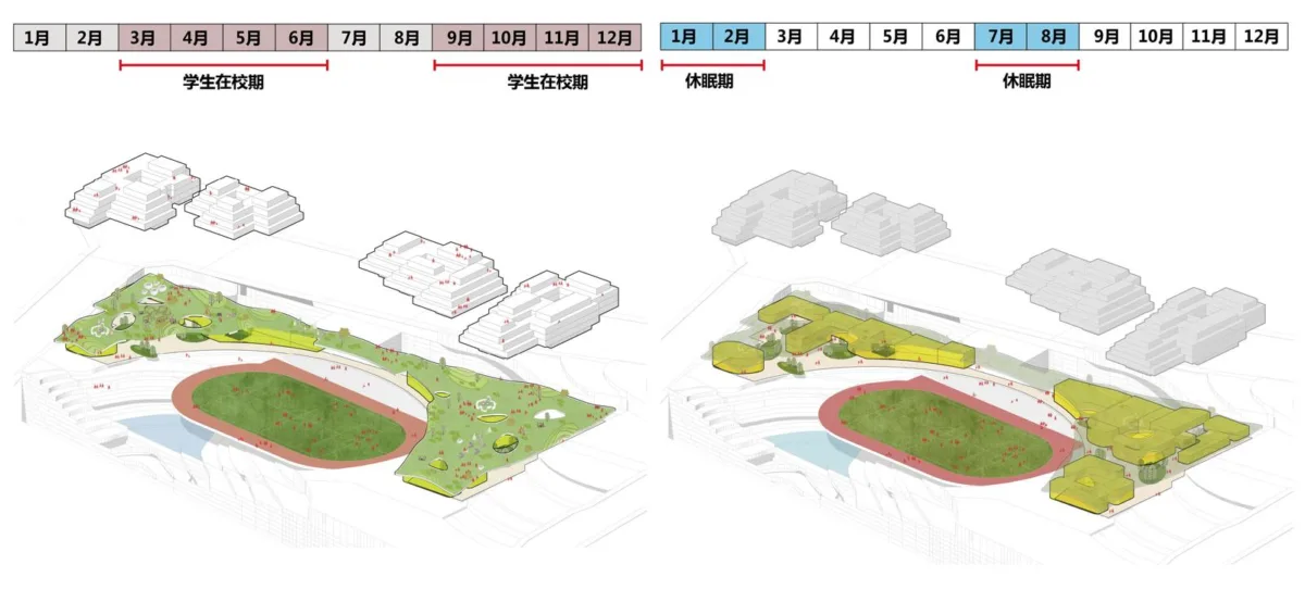 BIM建筑|森林Park+，共享垂直校区 | 重庆柏溪校区九年一贯制学校方案/中机中联工程有限公司