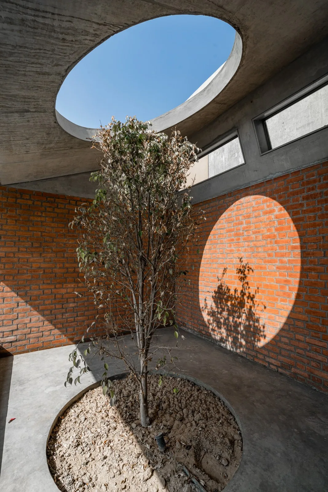 BIM建筑| 双湾之家 / MISA ARCHITECTS