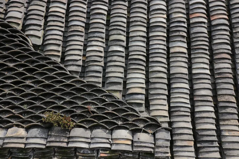 BIM建筑|山涧房 / 来建筑设计工作室