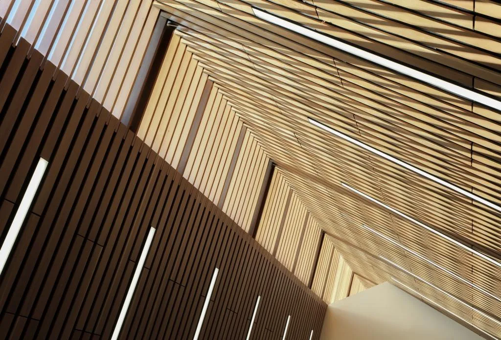 BIM建筑|卡普兰诺图书馆 / Patkau Architects + Group2
