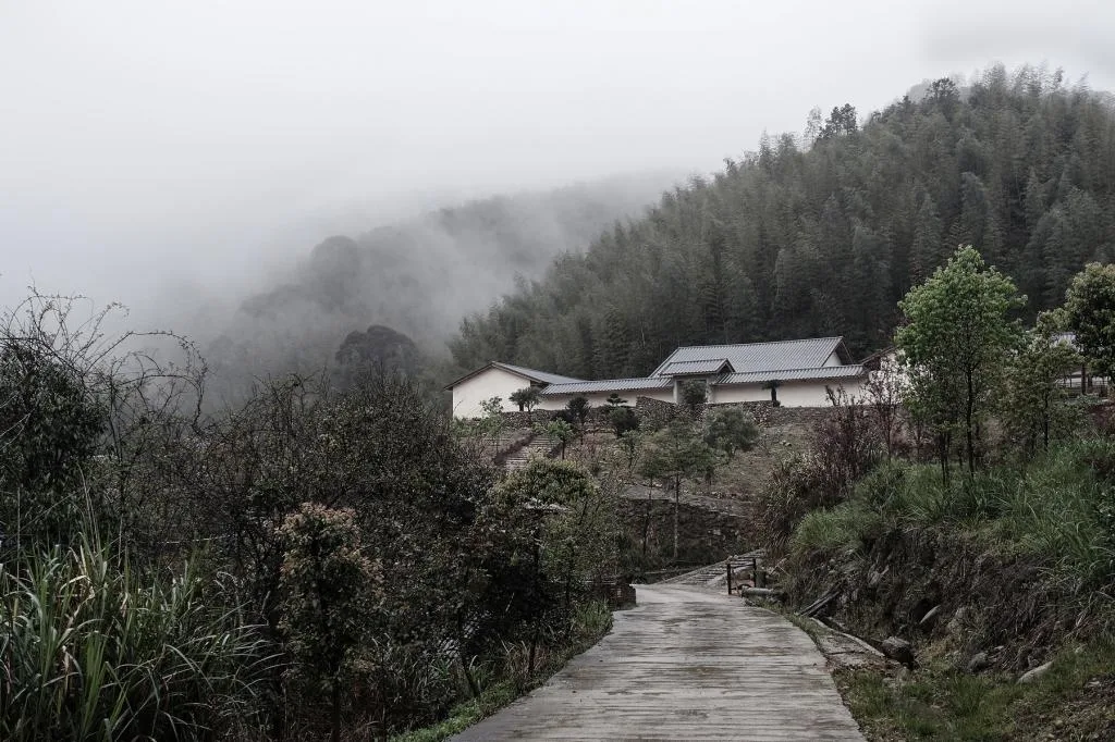 BIM建筑|山禅水定——大和禅院扩建设计 / 上海善祥建筑