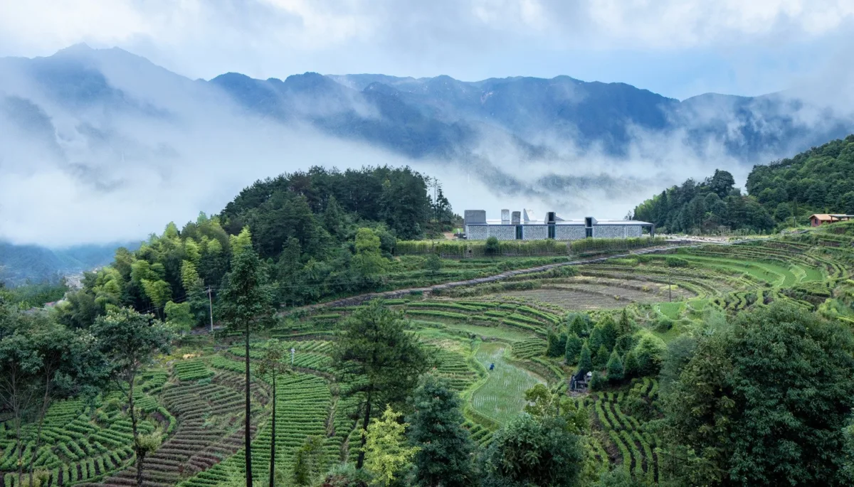 BIM建筑|景宁惠明茶工坊/ DnA_Design and Architecture