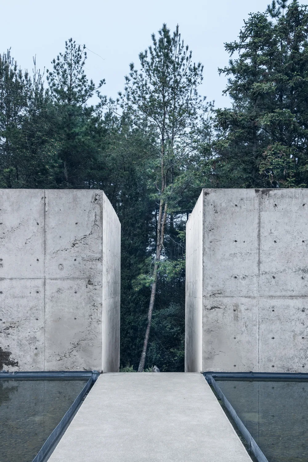 BIM建筑|景宁惠明茶工坊/ DnA_Design and Architecture